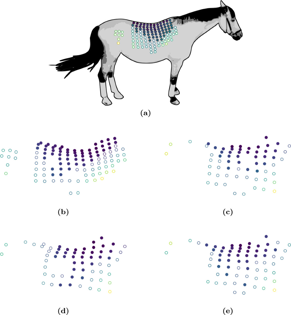 Generation of realistic saddle trajectories from captured horseback motion  | Multibody System Dynamics