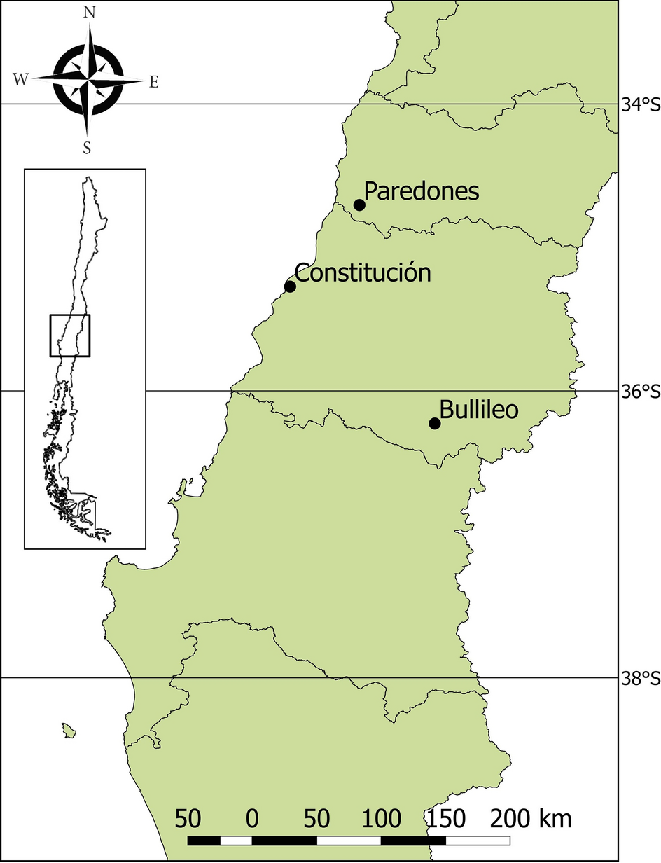 Bbc Apprenticeship Online Interview | TikTok, image size:944x1232