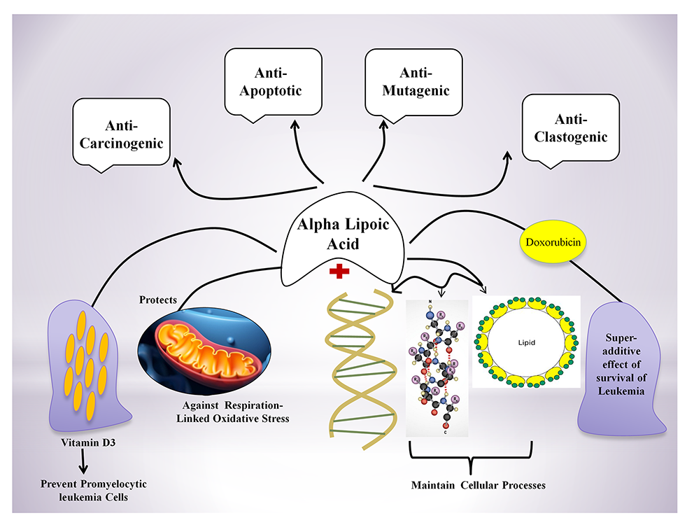 expression and purification of glutathione-s-transferase fusion proteins Glutathione S-transferase