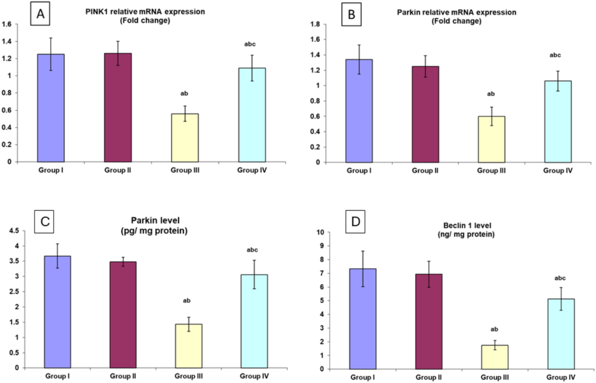 Possible Mitigating Effect of Nobiletin on Rotenone–Induced Parkinsonism in  Male Albino Rat Model: Targeting Bmal1/Nrf2 Mediated Ferroptosis and  Restoring Mitochondrial Mitophagy | Neurochemical Research | Springer  Nature Link