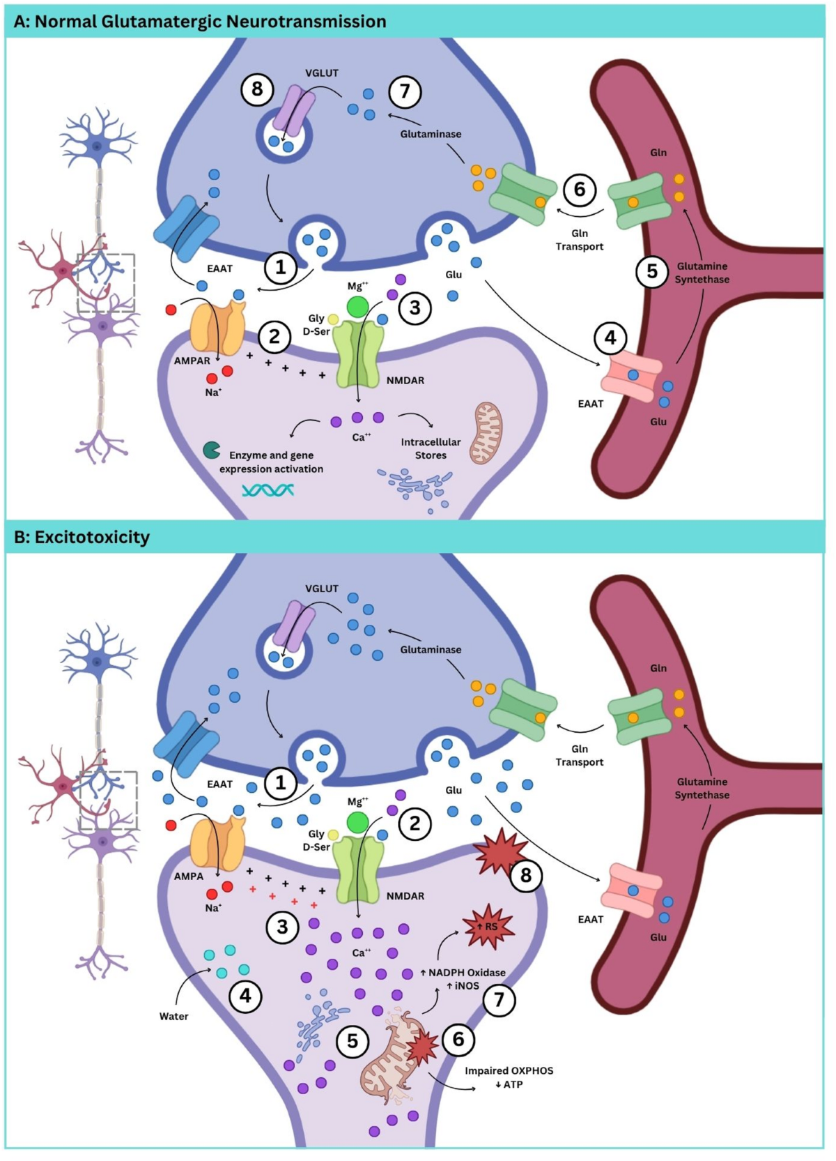 kb glutathione benefits 9 Health of Frontiers | Honey and cancer: