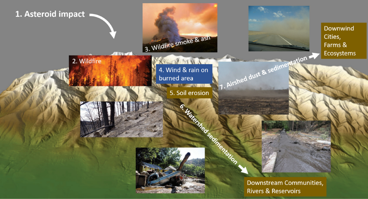 A review of common natural disasters as analogs for asteroid impact effects  and cascading hazards