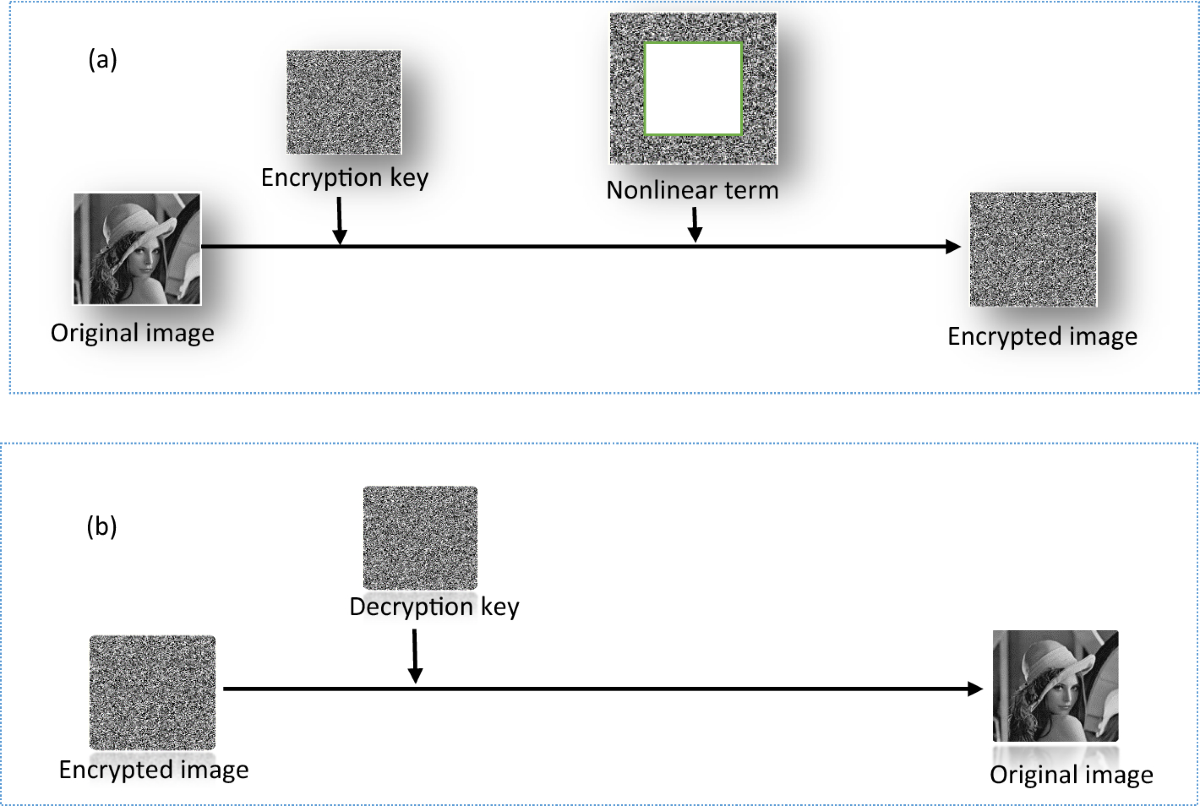 Security-enhanced optical nonlinear cryptosystem based on phase-truncated  Fourier transform | Optical and Quantum Electronics