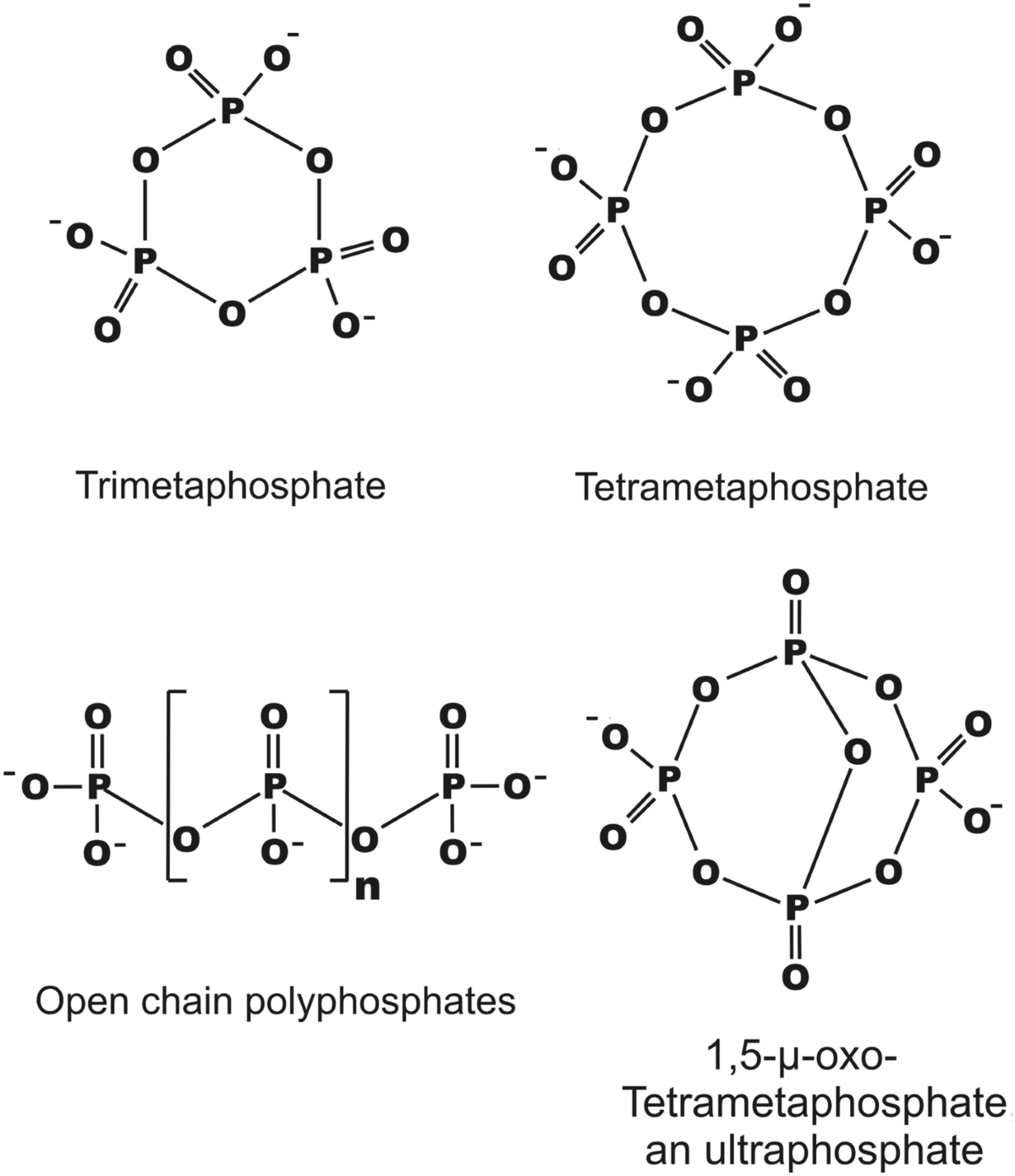 Did Cyclic Metaphosphates Have a Role in the Origin of Life? | Discover Life