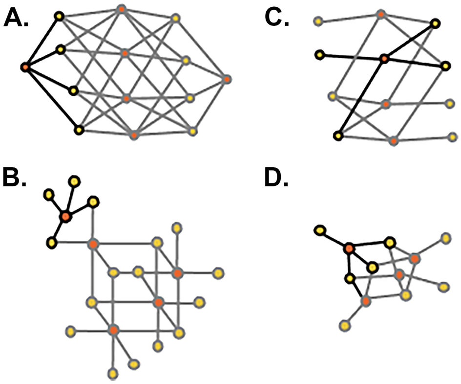 Evaluating Mineral Lattices as Evolutionary Proxies for ...