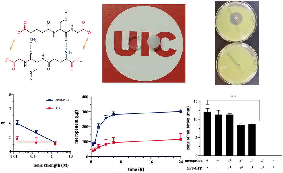 Glutathione-Conjugated Hydrogels: Flexible Vehicles for Personalized Treatment of Bacterial Infections | Pharmaceutical Research