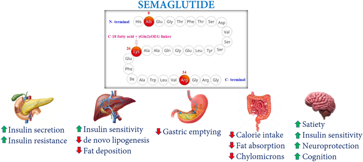 top digital health platforms for semaglutide Semaglutide Market Size, Share & Growth Report, 2035