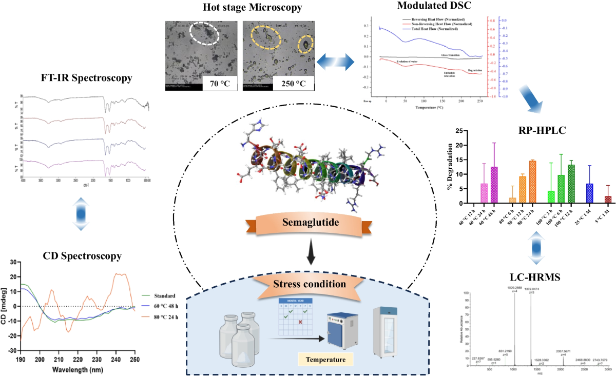 semaglutide melting point Thermally Stressed Solid-State Stability of Semaglutide: Understanding the  Influence of Temperature on Protein Content, Secondary Structure, Phase  Transition, and Chemical Degradation | Pharmaceutical Research