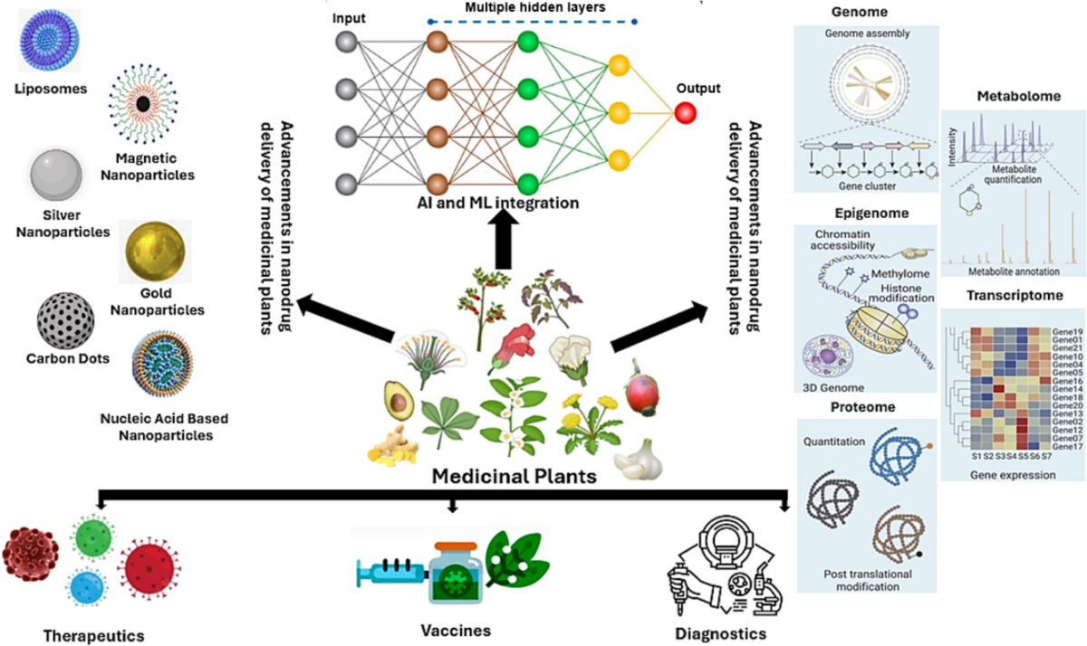 Medicinal plants and human health: a comprehensive review of bioactive compounds, therapeutic effects, and applications | Phytochemistry Reviews
