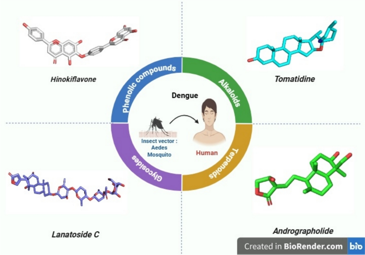 Dengue and natural products: unveiling nature