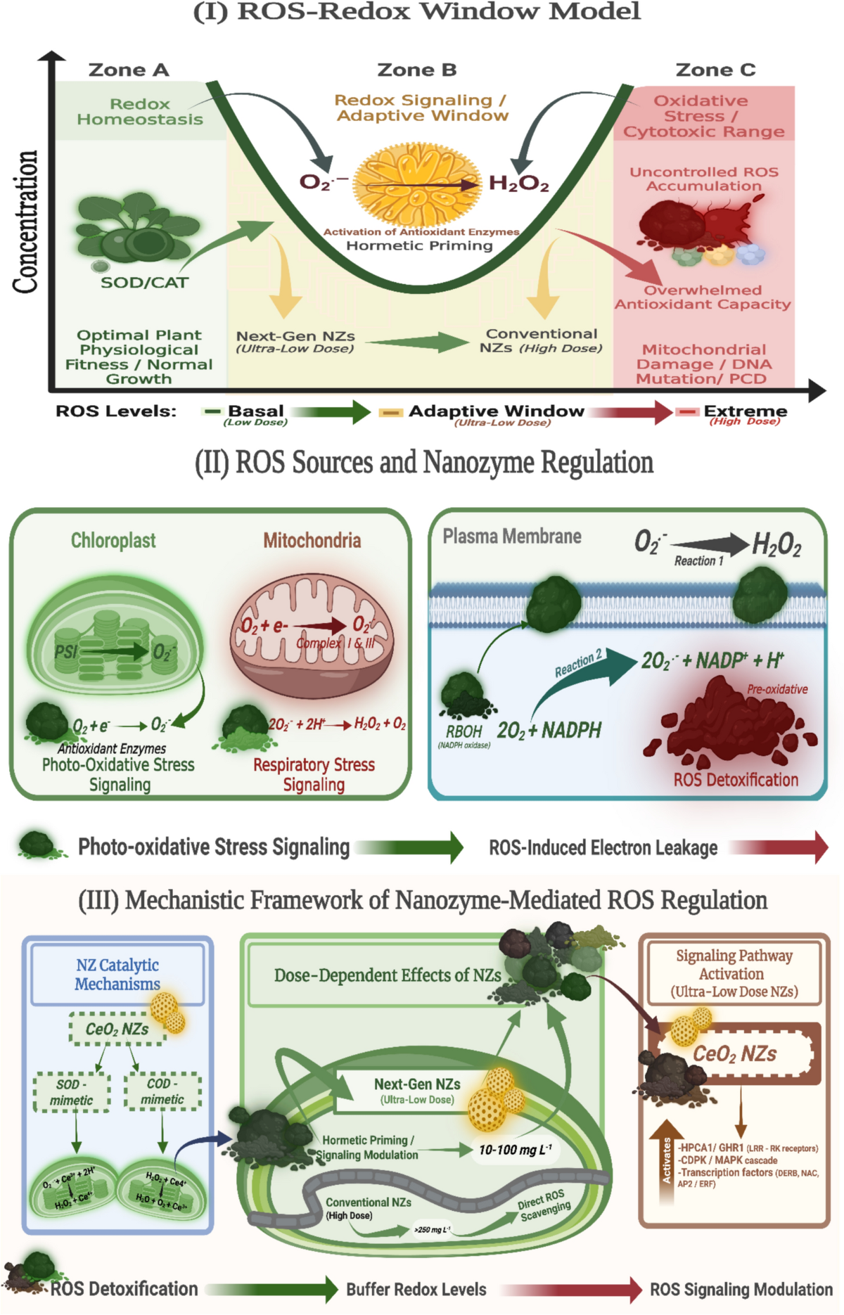 china glutathione scavenger for sale CeO2 Nanozymes as redox regulators: Reprogramming of reactive oxygen species (ROS) signaling plant climate resilience | Plant Molecular Biology everyday-heart-wellness