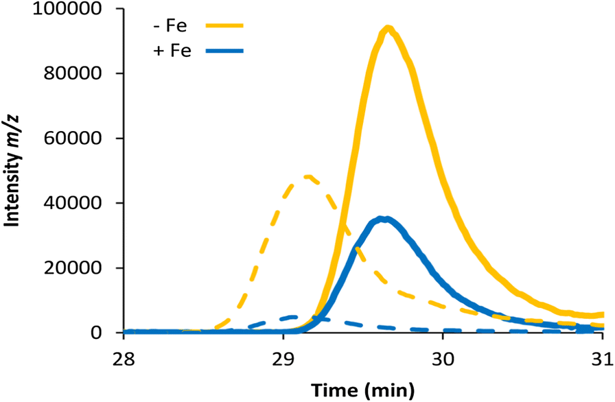 glutathione and iron absorption Glutathione supplementation prevents iron deficiency in Medicago scutellata  grown in rock sand under different levels of bicarbonate | Plant and Soil