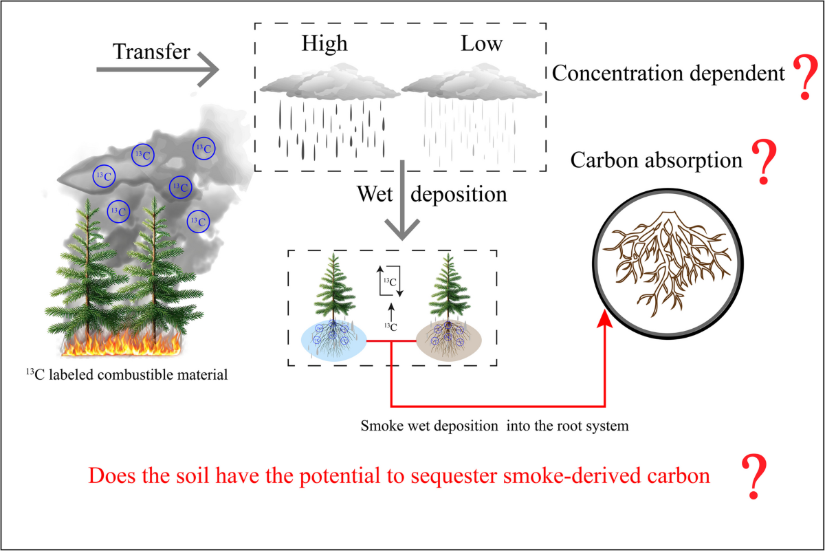 Commercial Landscape Service Tip: Preventing Mulch Fire, image size:1200x801