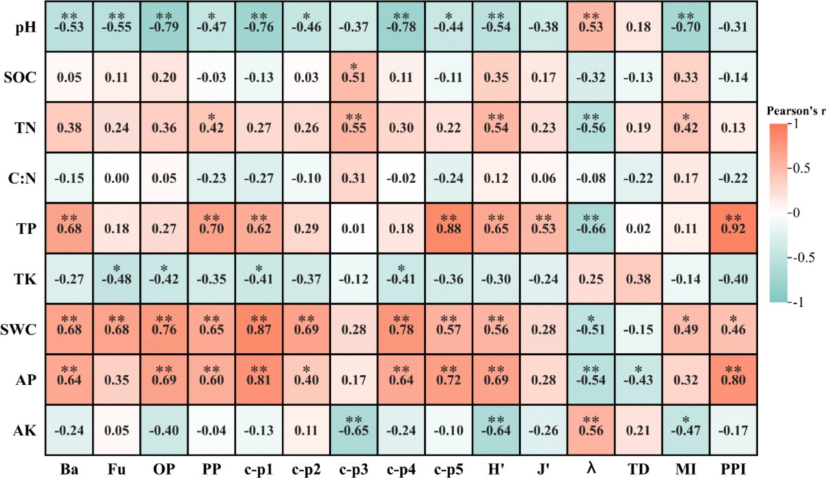 Thinning and replanting enhance soil environmental stability in Cupressus  funebris plantations: insights from soil nematodes | Plant and Soil