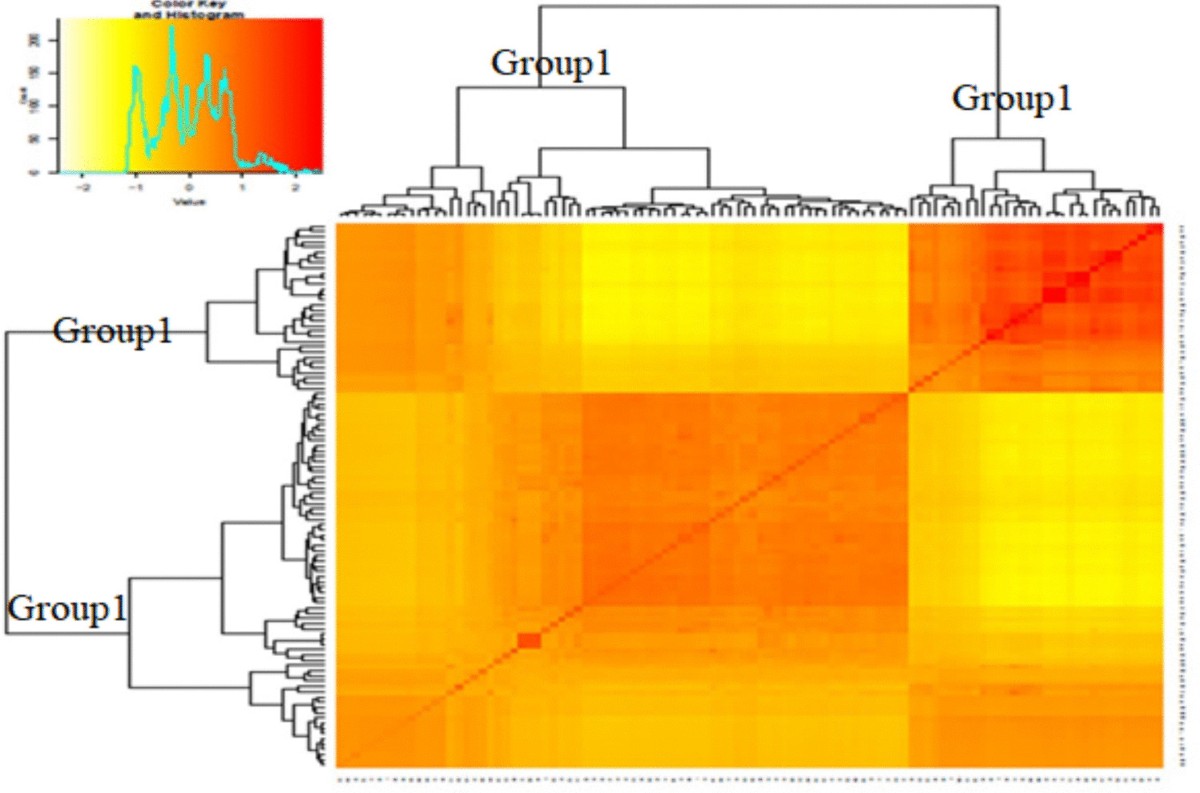 Identification of SNPs and Genomic Regions Linked to BCMV Resistance in  Common Bean (Phaseolus vulgaris L.) Using Genome-Wide Association Analysis  | Plant Molecular Biology Reporter