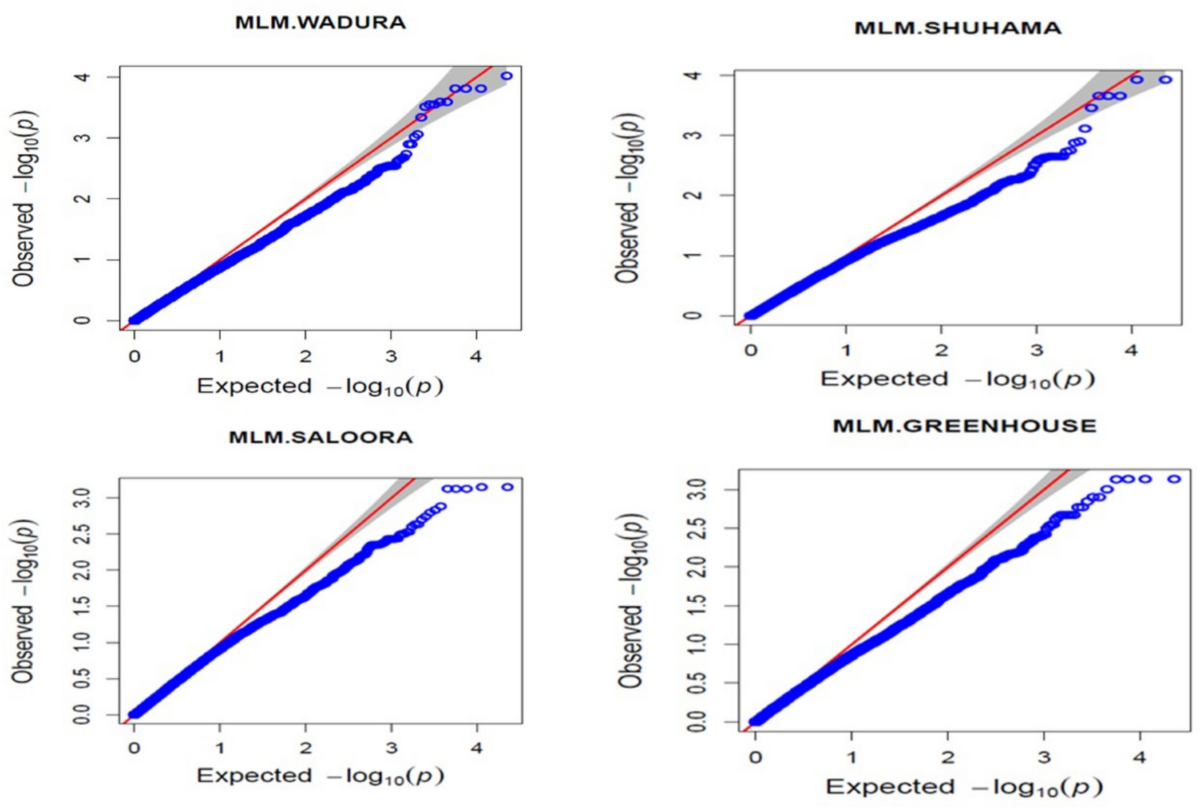Identification of SNPs and Genomic Regions Linked to BCMV Resistance in  Common Bean (Phaseolus vulgaris L.) Using Genome-Wide Association Analysis  | Plant Molecular Biology Reporter
