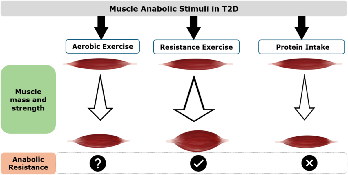 is tirzepatide hsa eligible GLP-1 Weight Loss, 100% Online