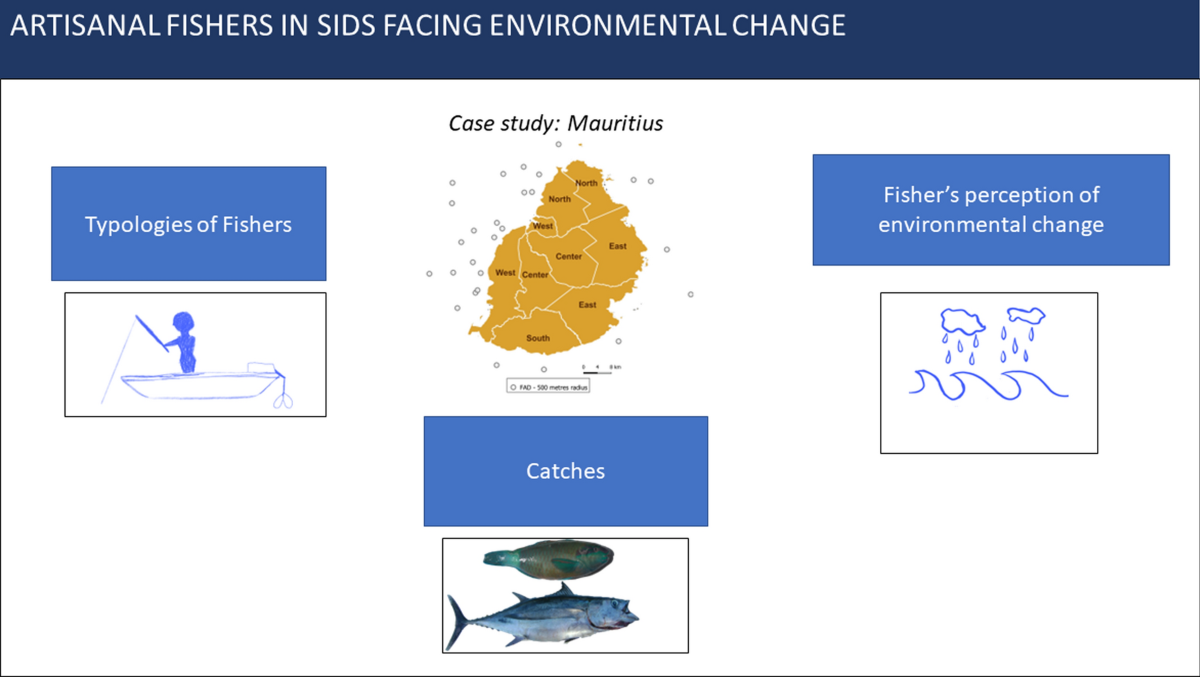 Artisanal fishers in small island developing states and their perception of  environmental change: the case study of Mauritius