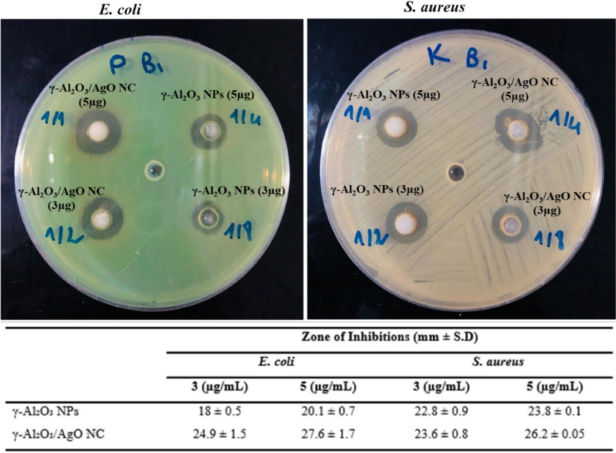 Eco-friendly γ-Al2O3/AgO nanocomposites with potential antibacterial  applications and effective photocatalytic degradation of pollutants |  Research on Chemical Intermediates