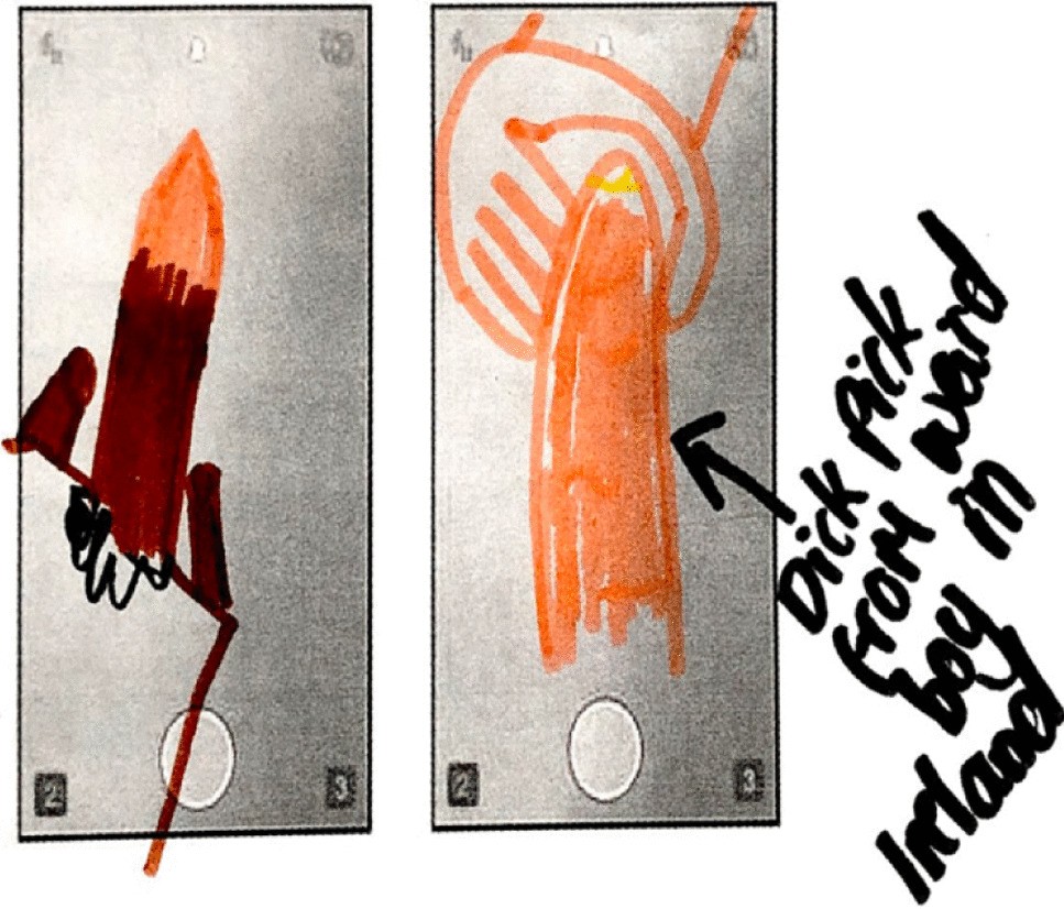 Teen Girls Experiences Negotiating the Ubiquitous Dick Pic: Sexual Double  Standards and the Normalization of Image Based Sexual Harassment | Sex Roles