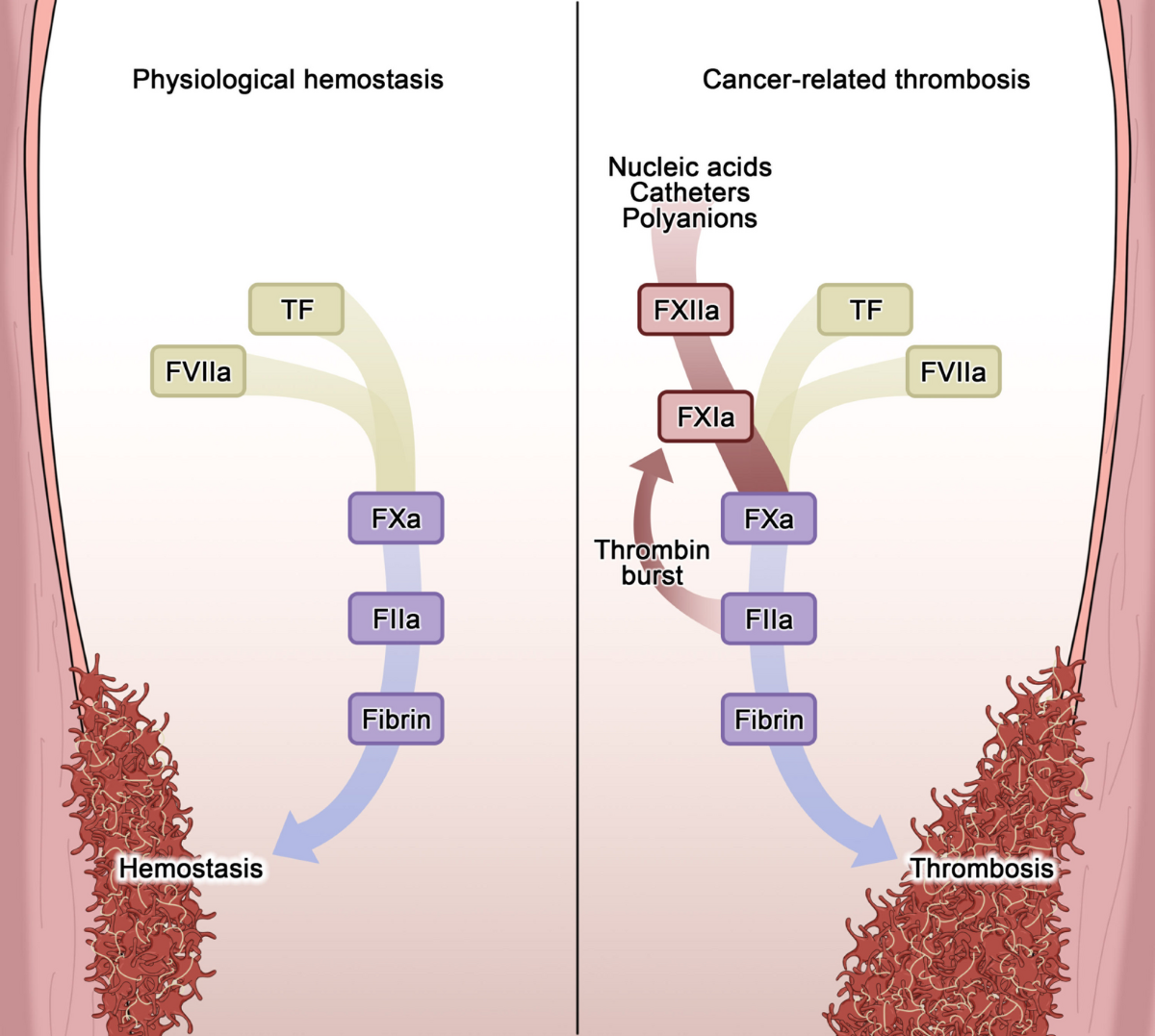 Research Summaries | Publication Policy and Data Requests | Harvard T.H.  Chan School of Public Health, image size:1200x1077