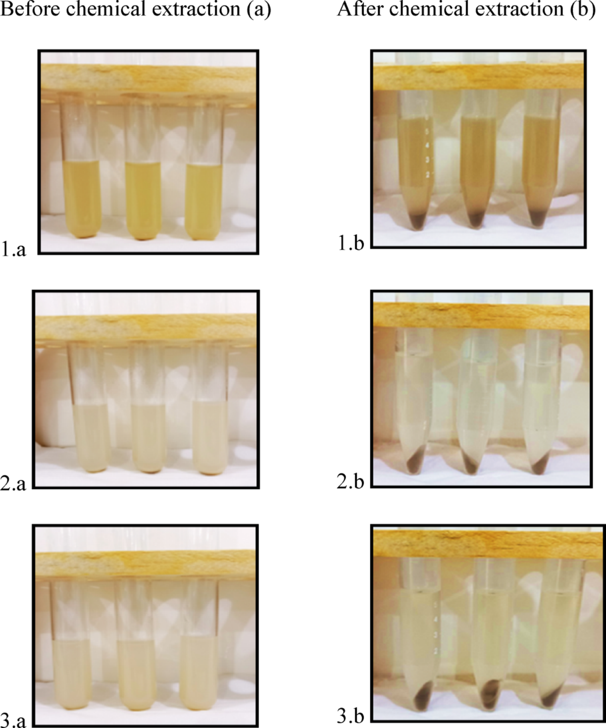 Glutathione Production from Spent Yeast of Bioethanol Manufacture: Impact  of Extraction Techniques with Commercial Applicability of Biotechnological  Significance | Topics in Catalysis | Springer Nature Link
