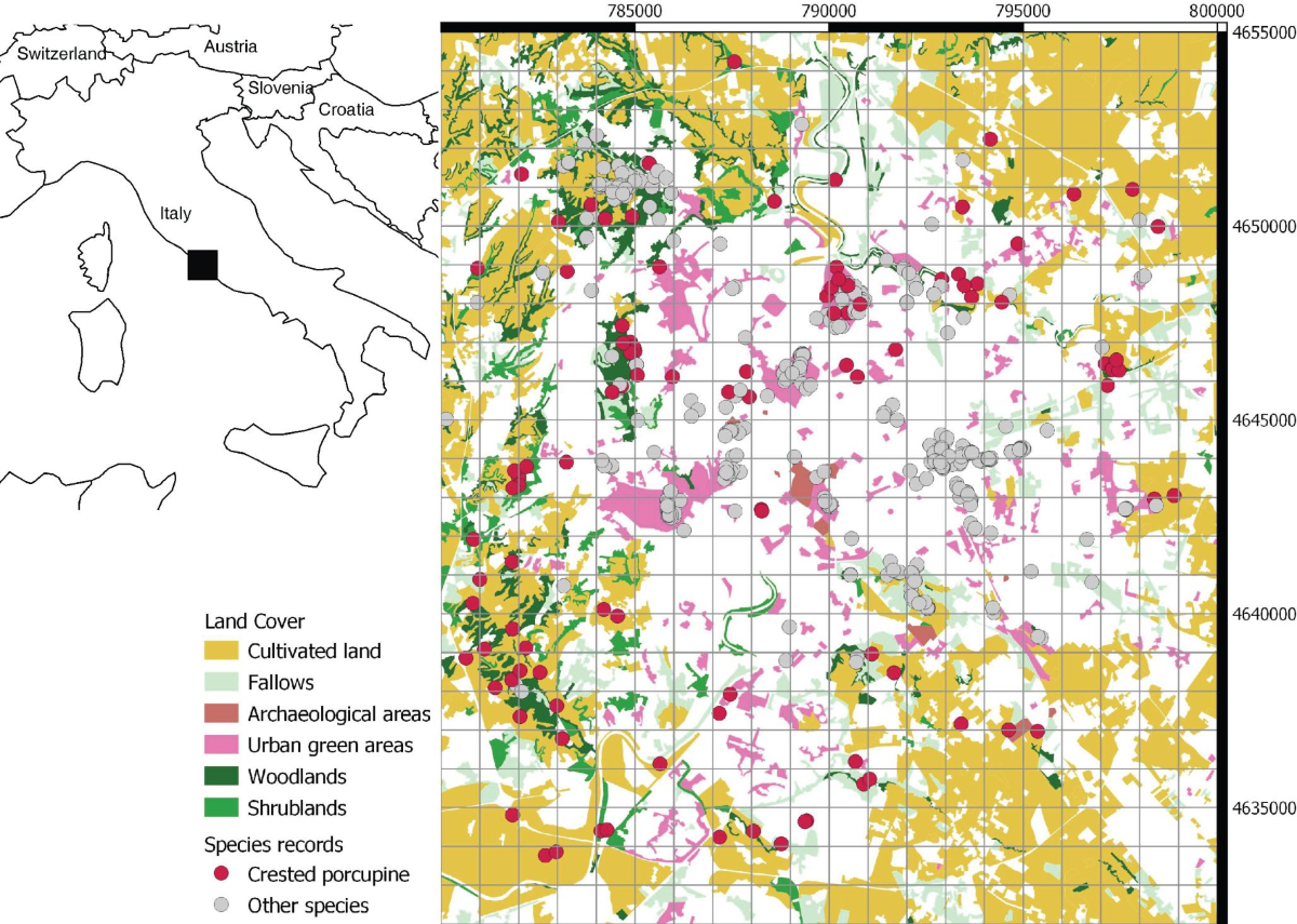 Mugello - Wikipedia, image size:1200x855