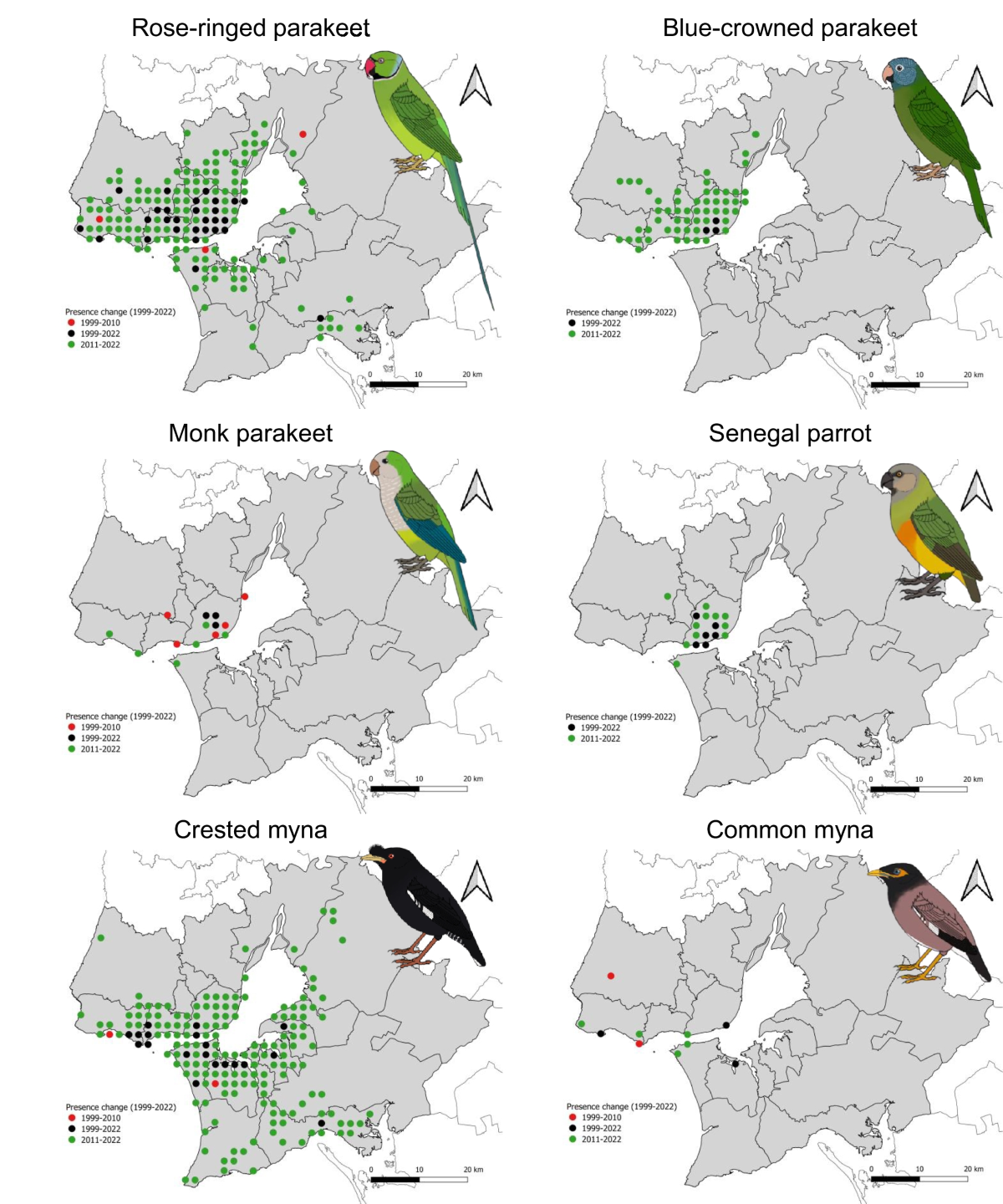 Estimating changes in distribution trend of alien birds in urban areas  using citizen science data | Urban Ecosystems, image size:1200x1440