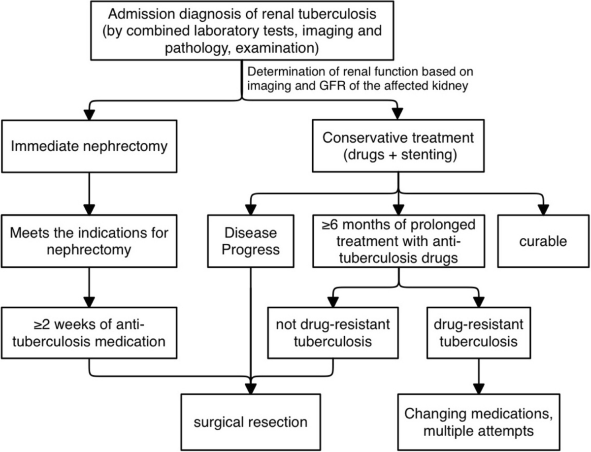 Tuberculosis 👇🏽👇🏽 Tuberculosis DEFINITION:- .Tuberculosis an infectious  disease caused by bacteria that most often affects the lungs. spreads  through the when people with TB cough, sneeze or spit. Causes:-  .Mycobacterium tuberculosis. contact., image size:1200x918