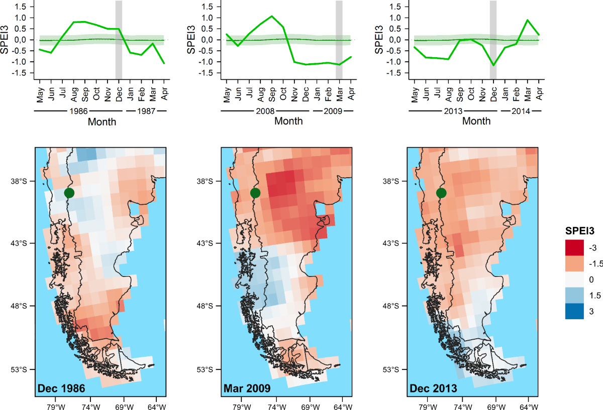 Burn severity in Araucaria araucana forests of northern Patagonia: tree  mortality scales up to burn severity at plot scale, mediated by topography  and climatic context | Plant Ecology