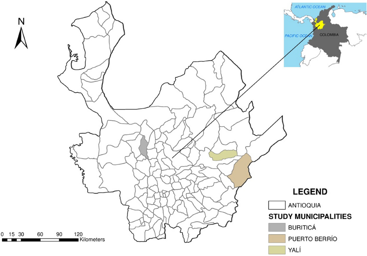 Determination of Bioavailability, Potential Ecological and Human Health  Risks, and Biomonitoring of Potential Toxic Elements in Gold Mine Tailings  from Four Areas of Antioquia, Colombia | Water, Air, & Soil Pollution