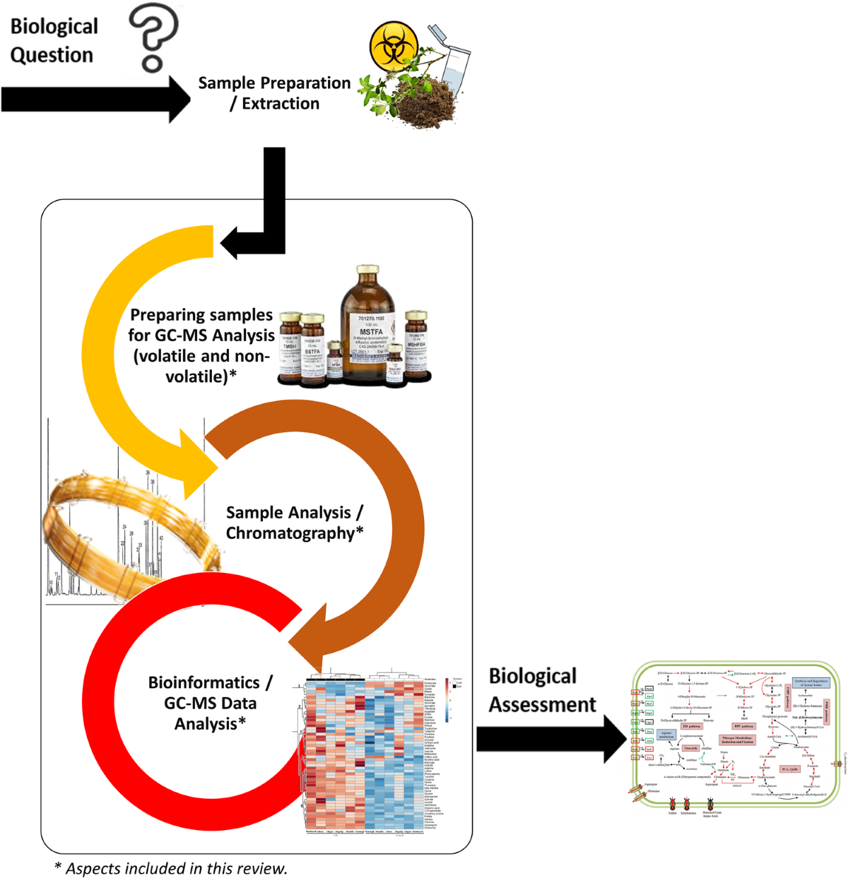 Review of recent developments in GC–MS approaches to metabolomics-based  research | Metabolomics