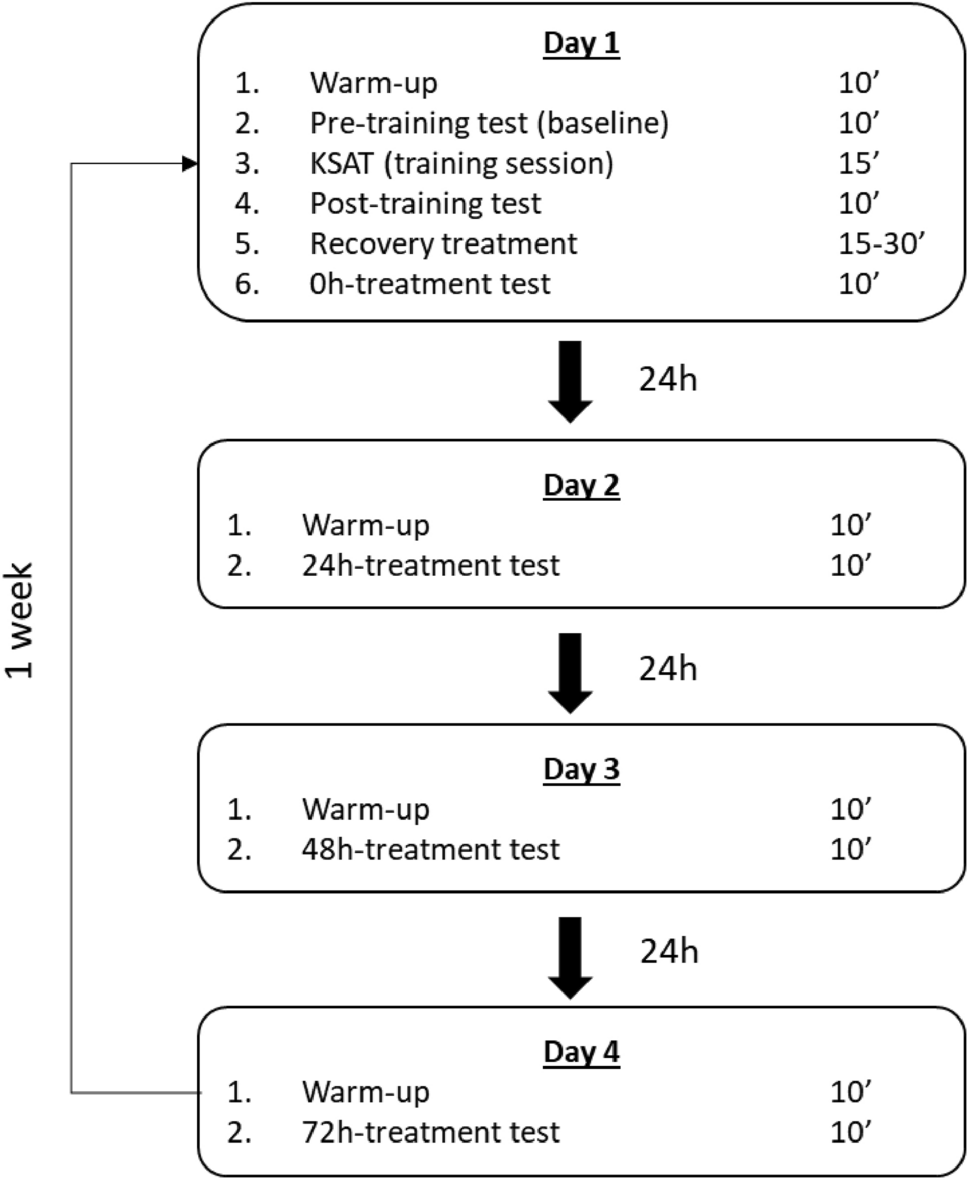 Impact of recovery strategies on physiological and performance parameters  in karate athletes: a randomized crossover study | Sport Sciences for Health