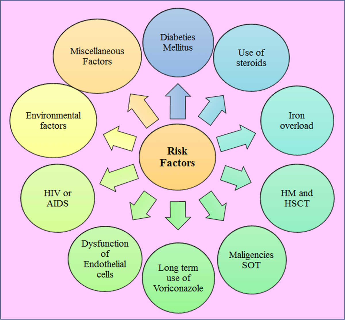 Focusing COVID-19-associated mucormycosis: a major threat to  immunocompromised COVID-19 | Environmental Science and Pollution Research |  Springer Nature Link