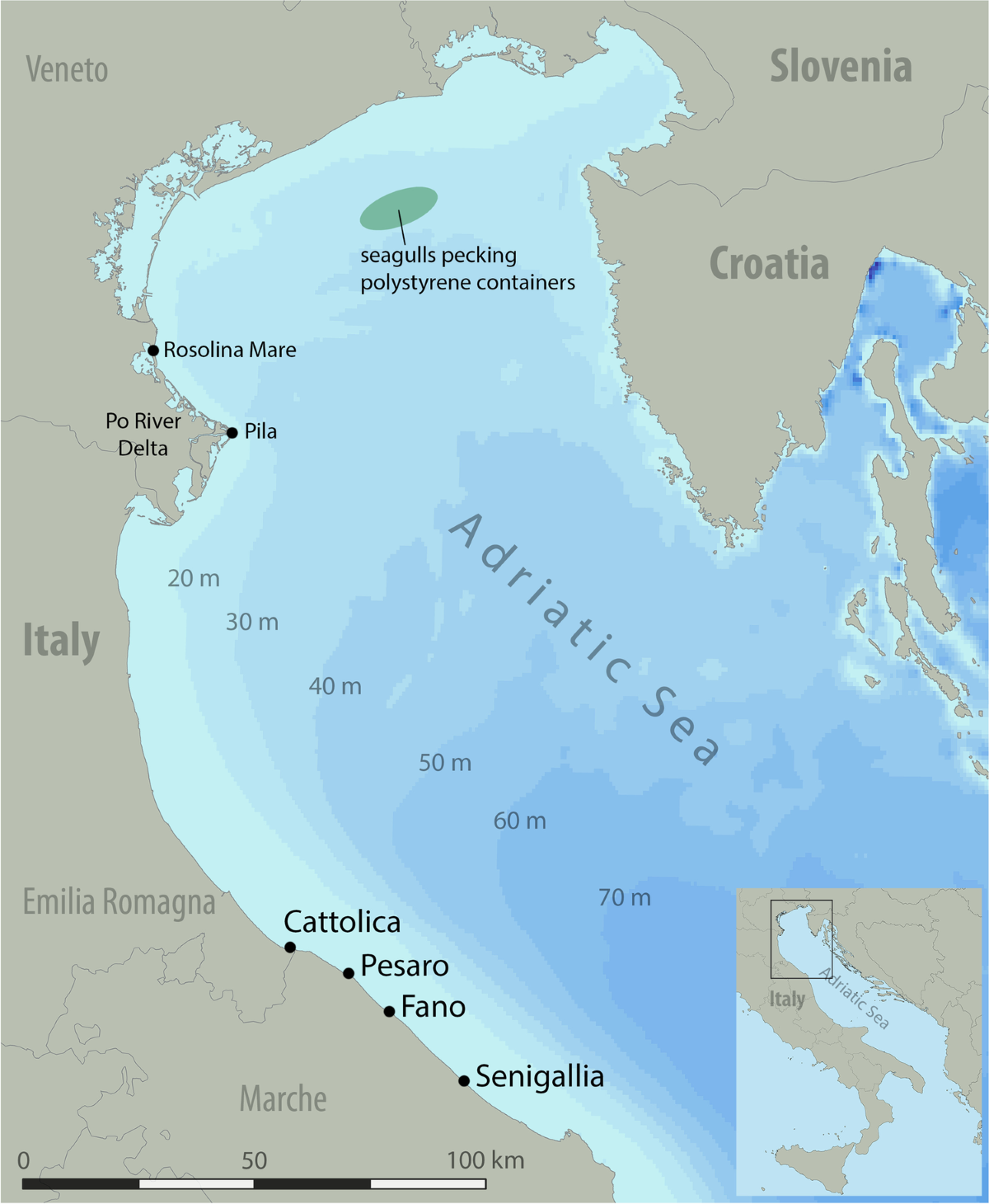 Cocoricò (nightclub) - Wikipedia, image size:1200x1460