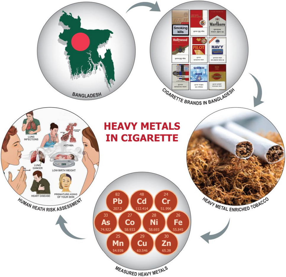 why do they put arsenic in cigarettes Heavy metals in popularly sold branded cigarettes in Bangladesh and  associated health hazards from inhalation exposure | Environmental Science  and Pollution Research