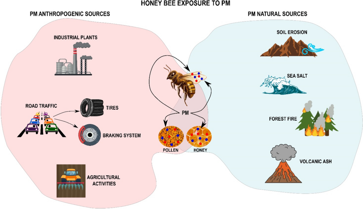 do cigarettes pollute the air Tobacco and the environment do cigarettes pollute the air Tobacco and the environment
