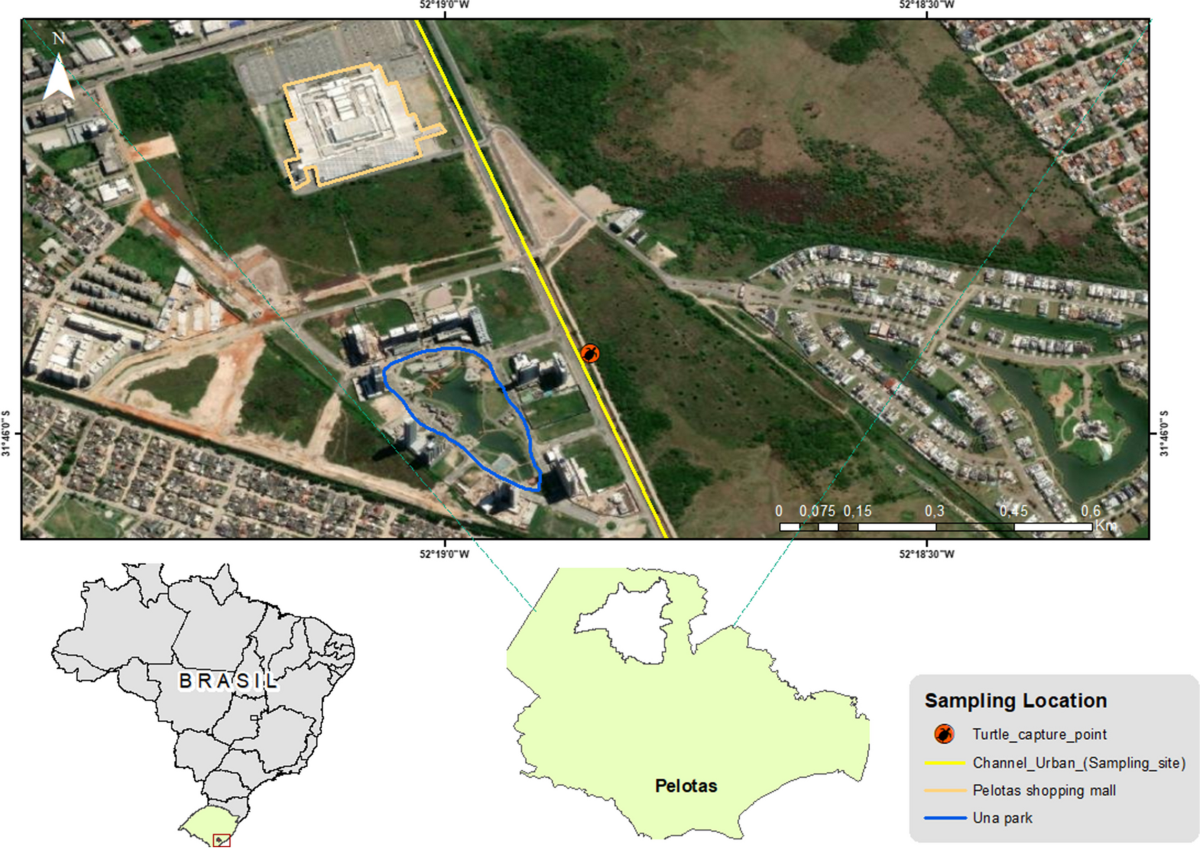 🔎Documento inédito - Um mapa guardado bem longe do Brasil, mais preci... |  TikTok, image size:1200x848