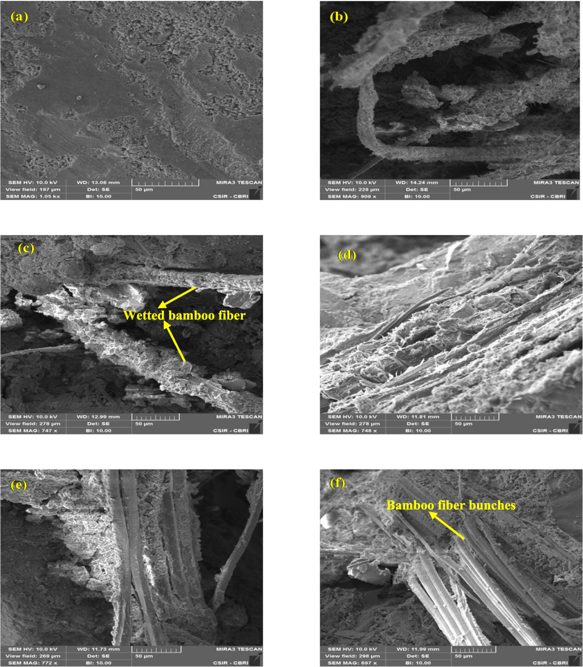 Potential utilization of Bambusa balcooa in cement mortar as a reinforcing  filler to improve flexural and compressive strength | Environmental Science  and Pollution Research