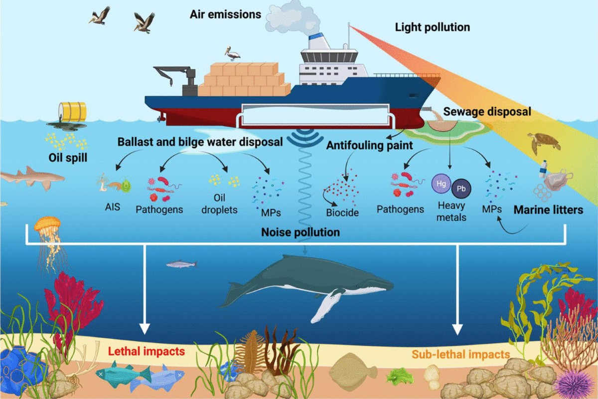 dried it in the sun over fish nets cai lun Rising Lunker Net – Fly Food Invention and Development of Papermaking