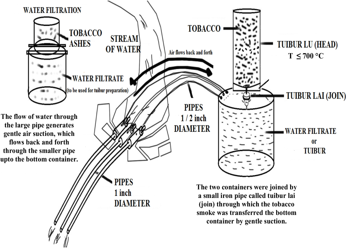 pharmacognosy of tobacco Medicinal uses Phytochemical Evaluation and Antioxidant Activity