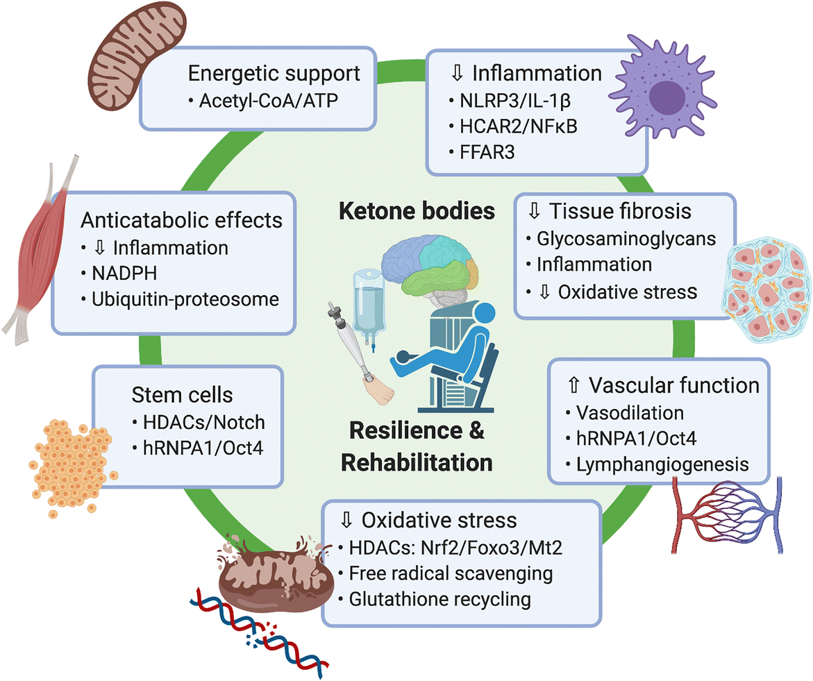 cjc-1295 ipamorelin effects on sleep cjc-1295 ipamorelin vivid dreams sleep CJC-1295/Ipamorelin Benefits, Side  Effects, and Cost: The Complete