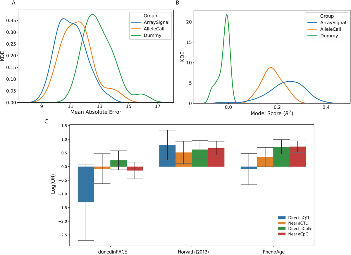 Methylation array signals are predictive of chronological age without  bisulfite conversion | GeroScience