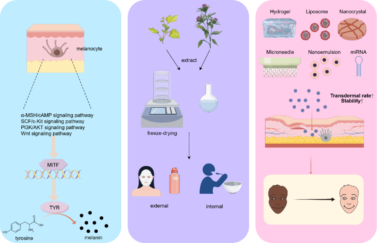 l glutathione lotion asli dan palsu Transformation Cream Skinflair Palsu: Kenali Lotion Gluta