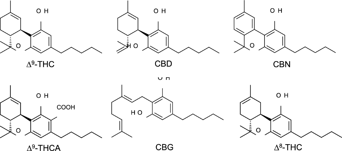Development of a novel 9-THC-specific color test reagent | Forensic Toxicology | Springer Nature Link Development of a novel 9-THC-specific color test reagent | Forensic Toxicology | Springer Nature Link
