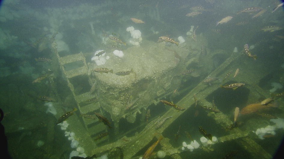 Shipwrecks and the Maritime Cultural Landscape of the Gulf of the