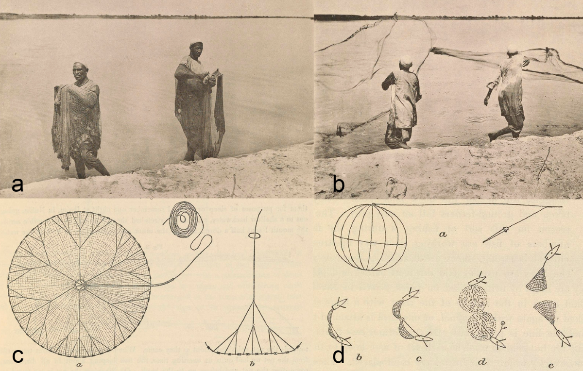 Fishing with Cast Nets in Ancient Egypt
