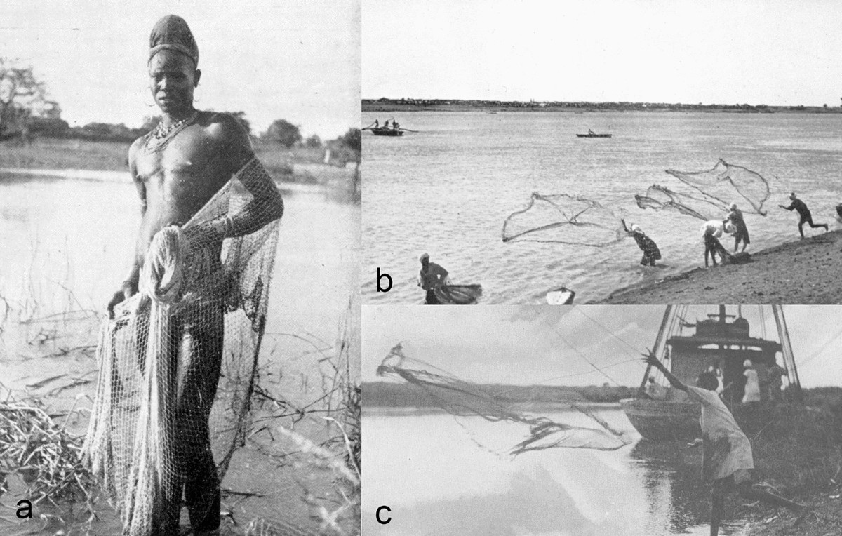 Fishing with Cast Nets in Ancient Egypt | Journal of Maritime Archaeology |  Springer Nature Link