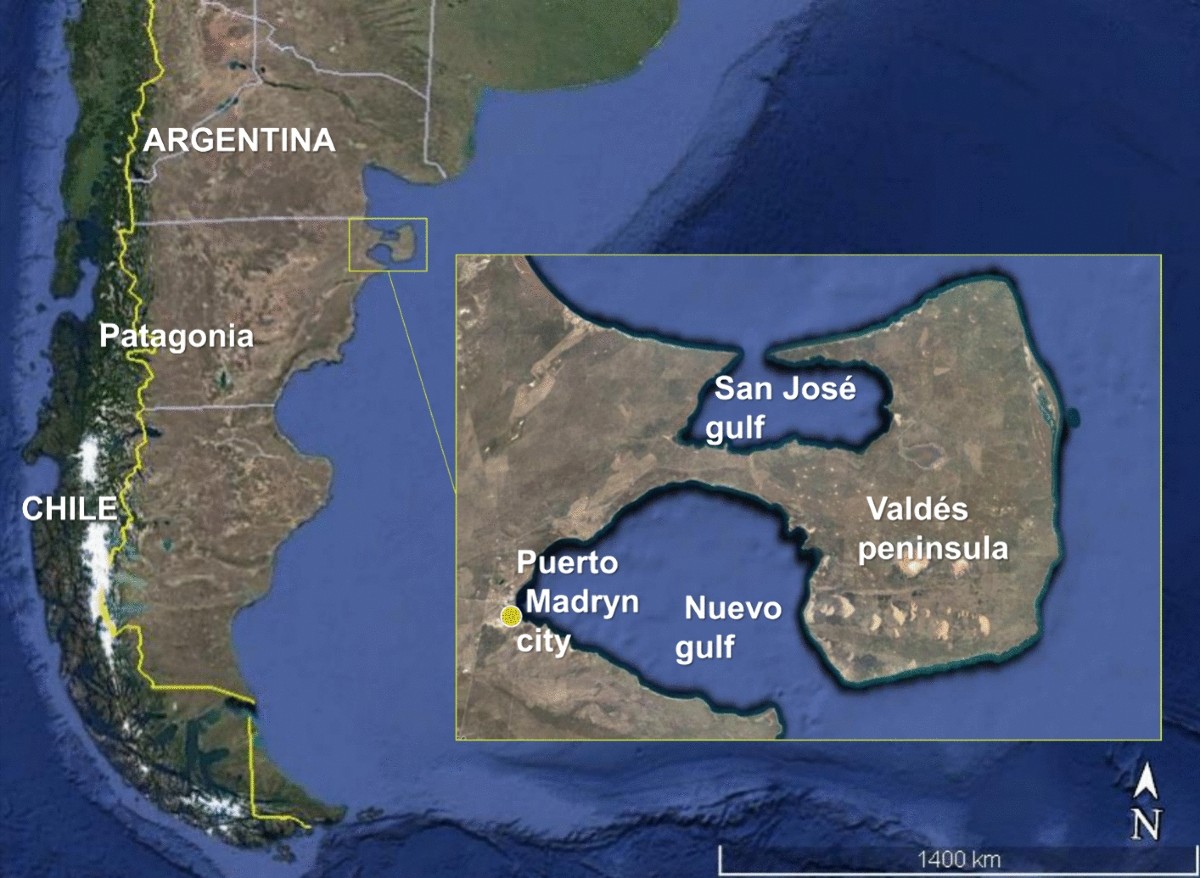 Chubut Argentine - Cultural Heritage: Preservation of indigenous cultural heritage remains a focus in the region.