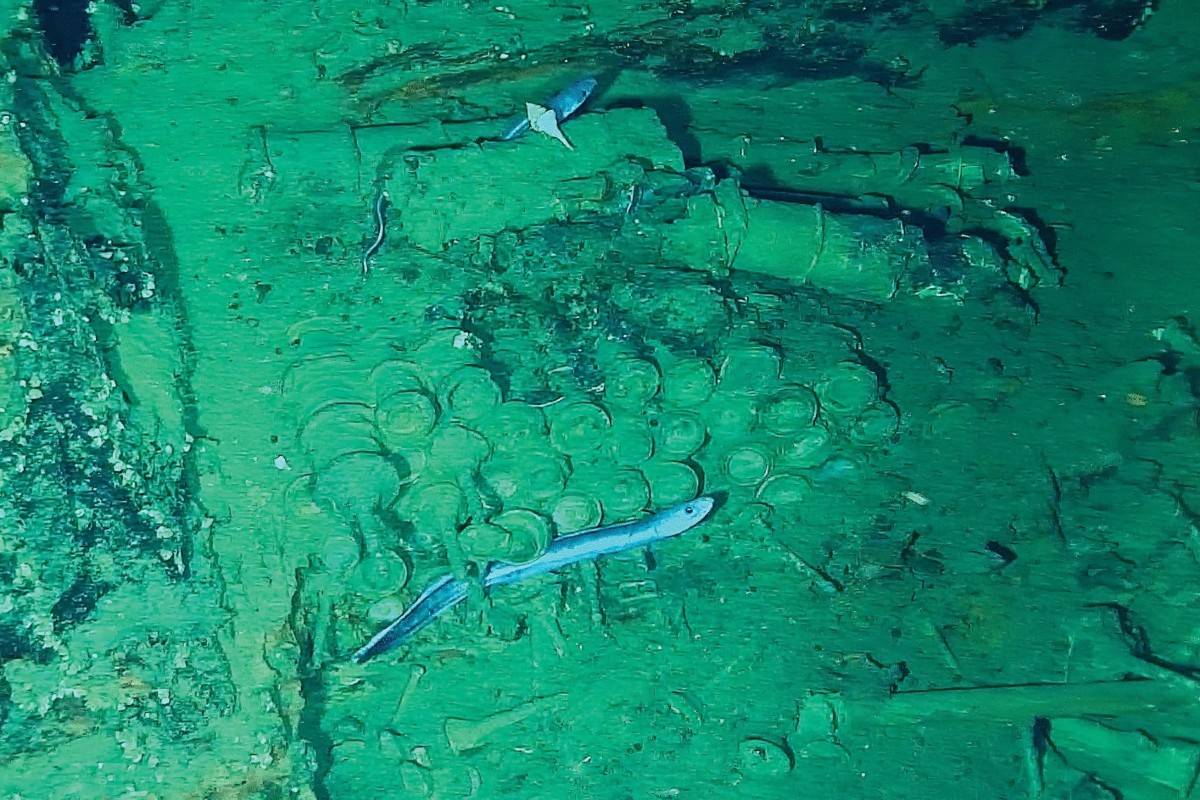 Analysis of the Dispersion of Material Evidence from the Archaeological  Context of the San José Galleon Shipwreck Sunk at a Depth of 600 Meters ( Cartagena de Indias, Colombia) | Journal of Maritime